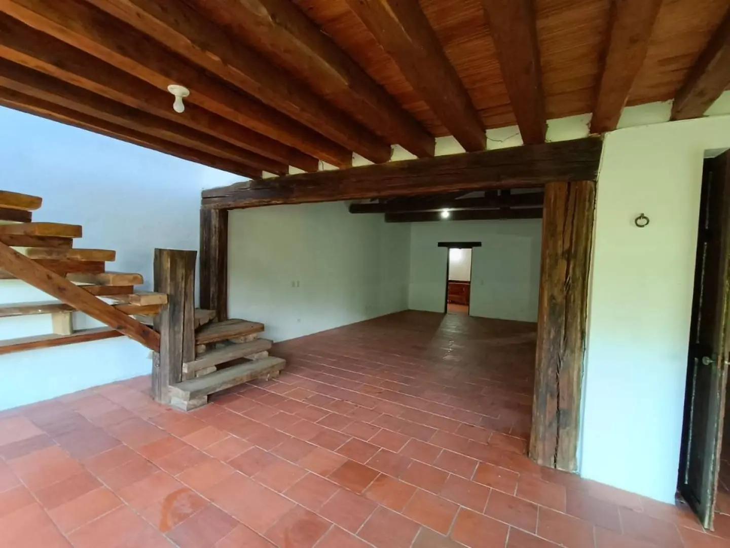 Fotografía 14 - Finca