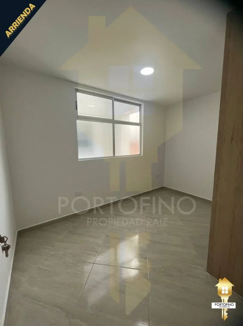 Fotografía 2 - Ruiseñor 823