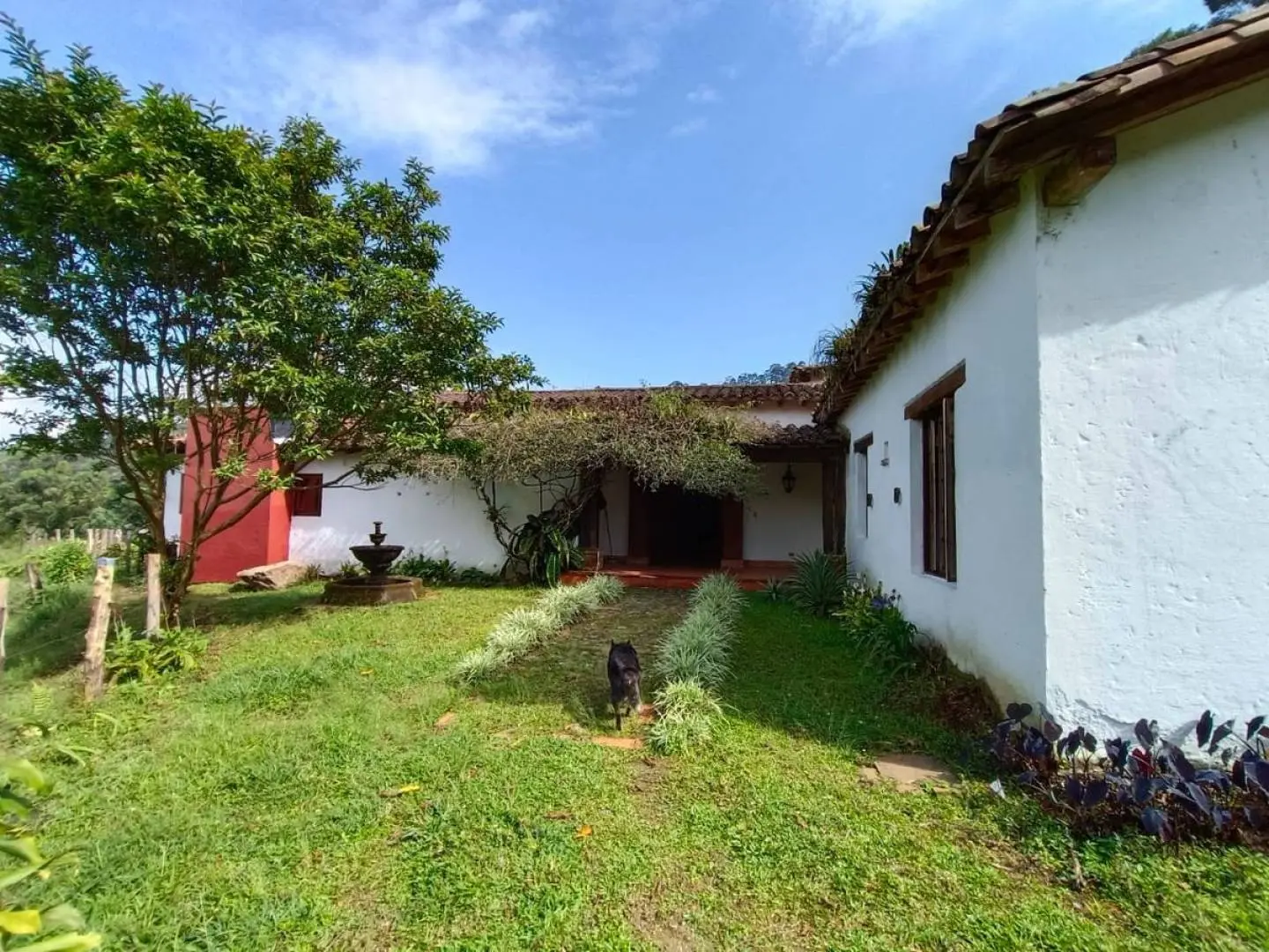 Fotografía 7 - Finca