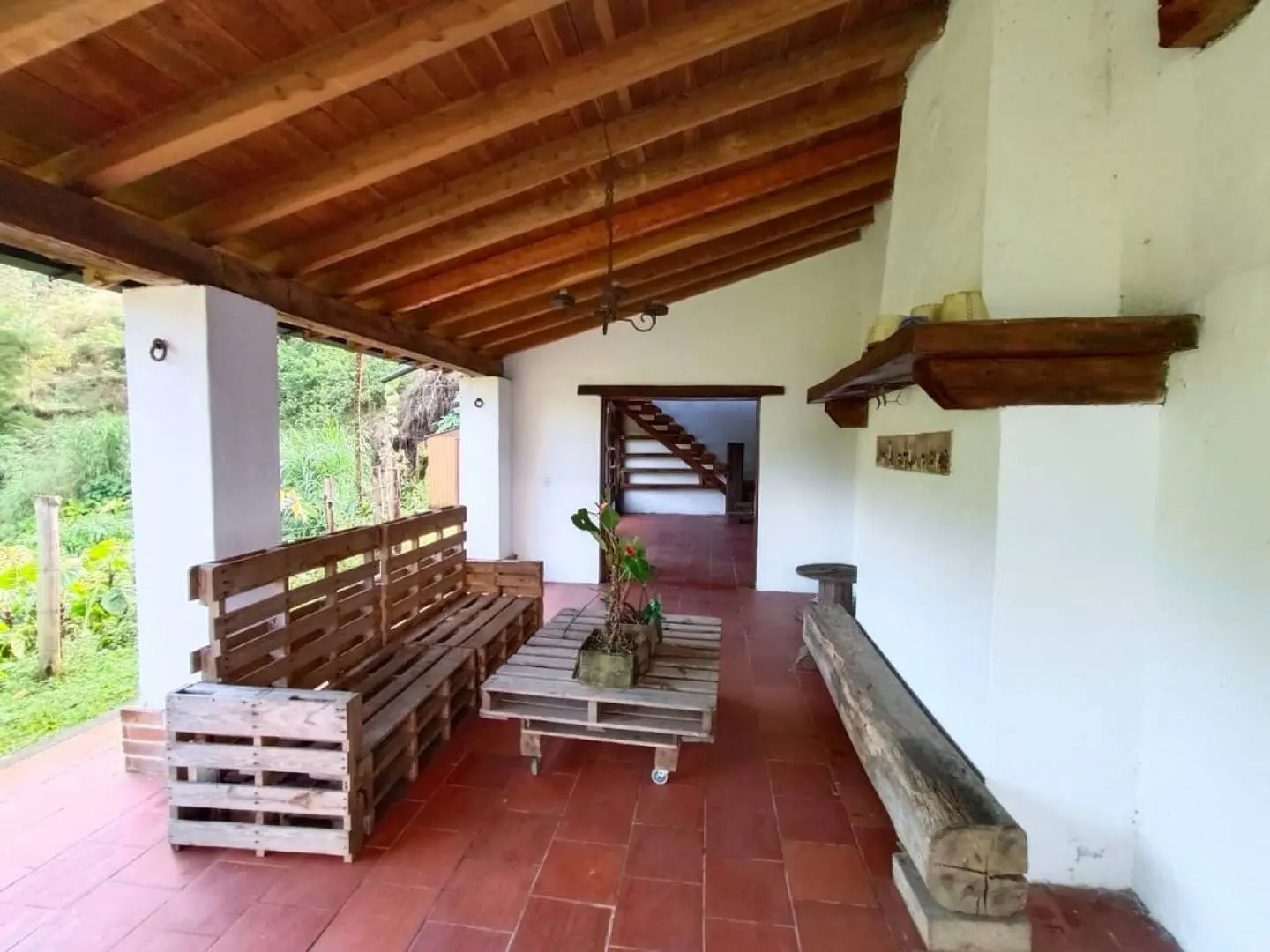 Fotografía 12 - Finca