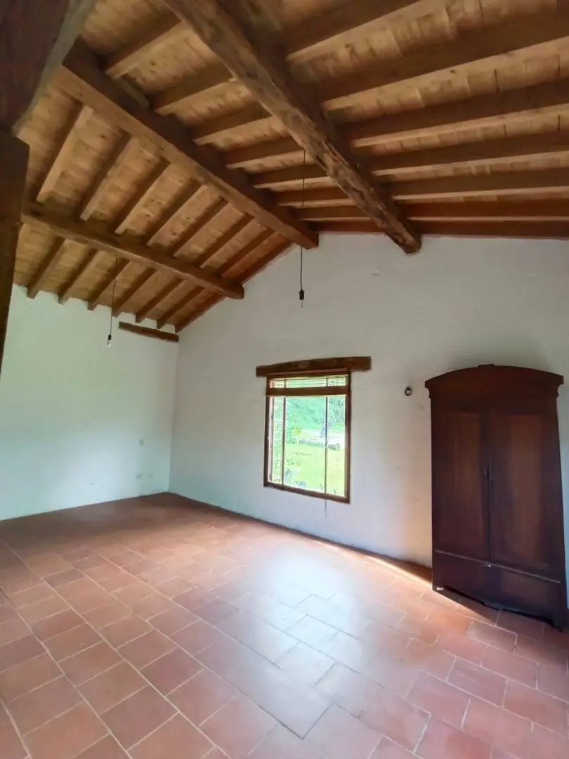 Fotografía 19 - Finca