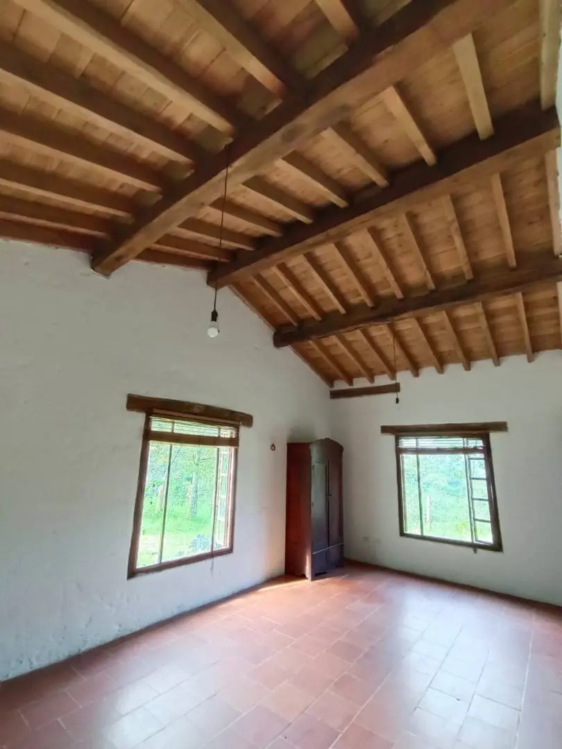 Fotografía 20 - Finca