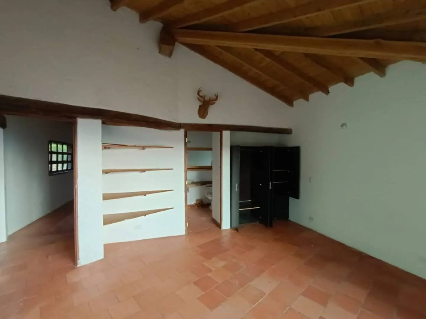 Fotografía 8 - Finca
