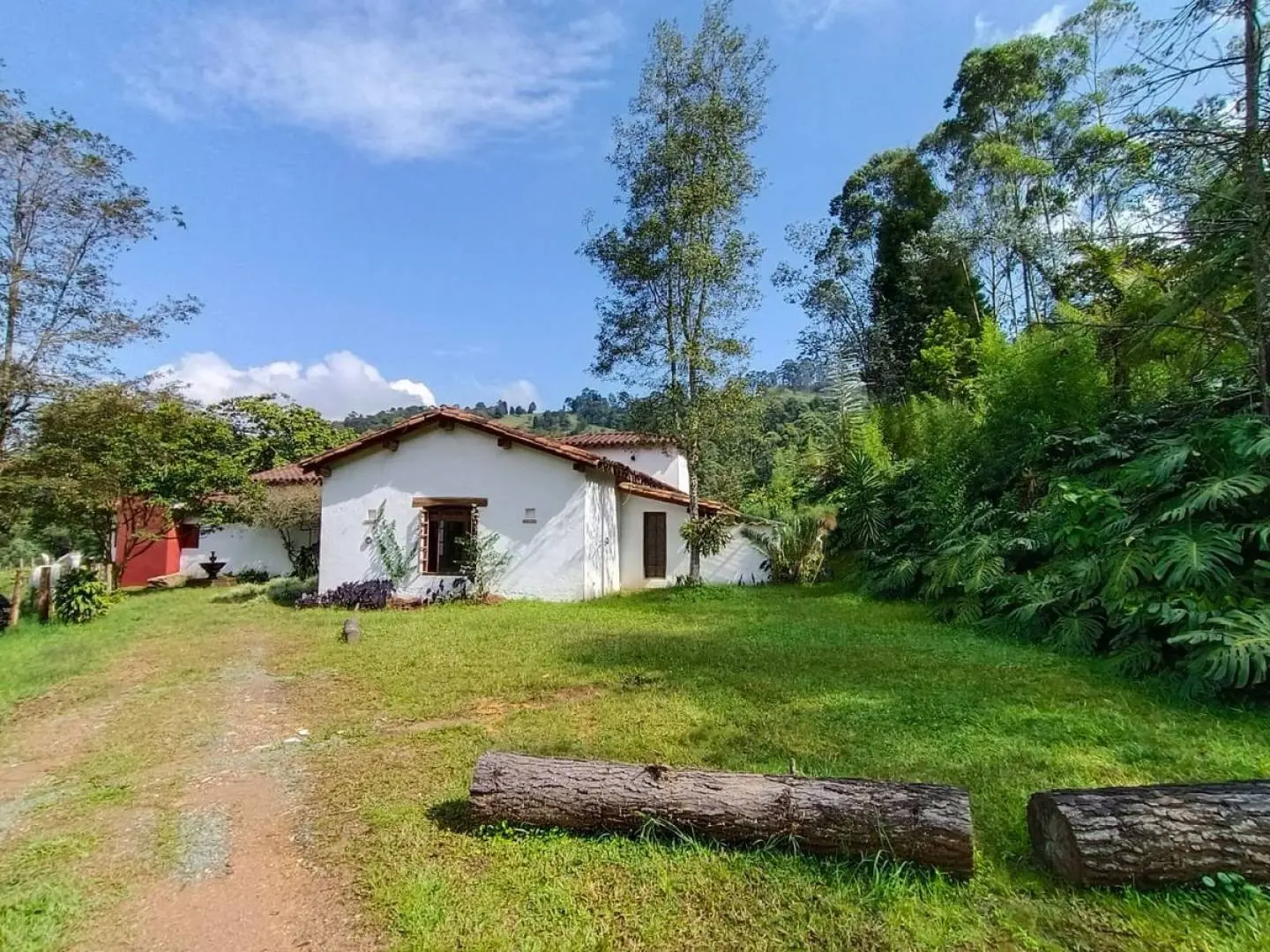 Fotografía 4 - Finca