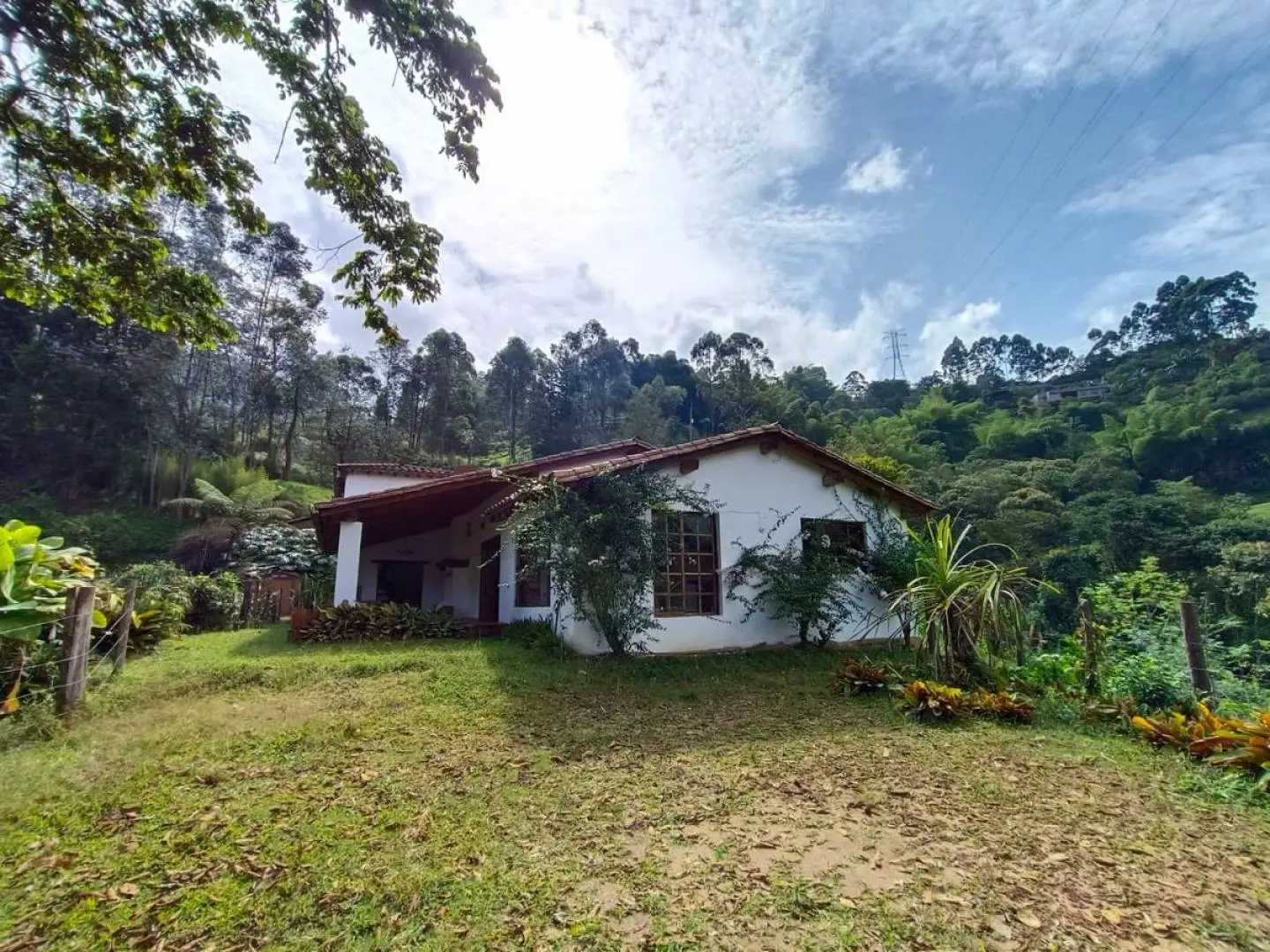 Fotografía 23 - Finca