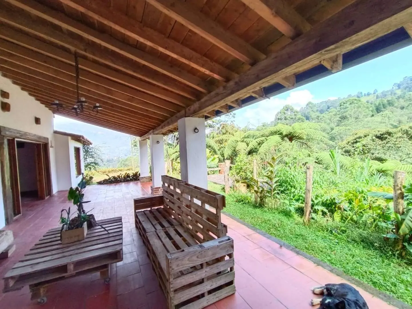 Fotografía 13 - Finca