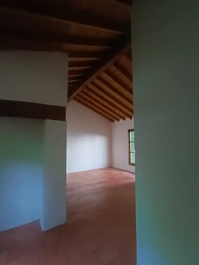Fotografía 12 - Finca