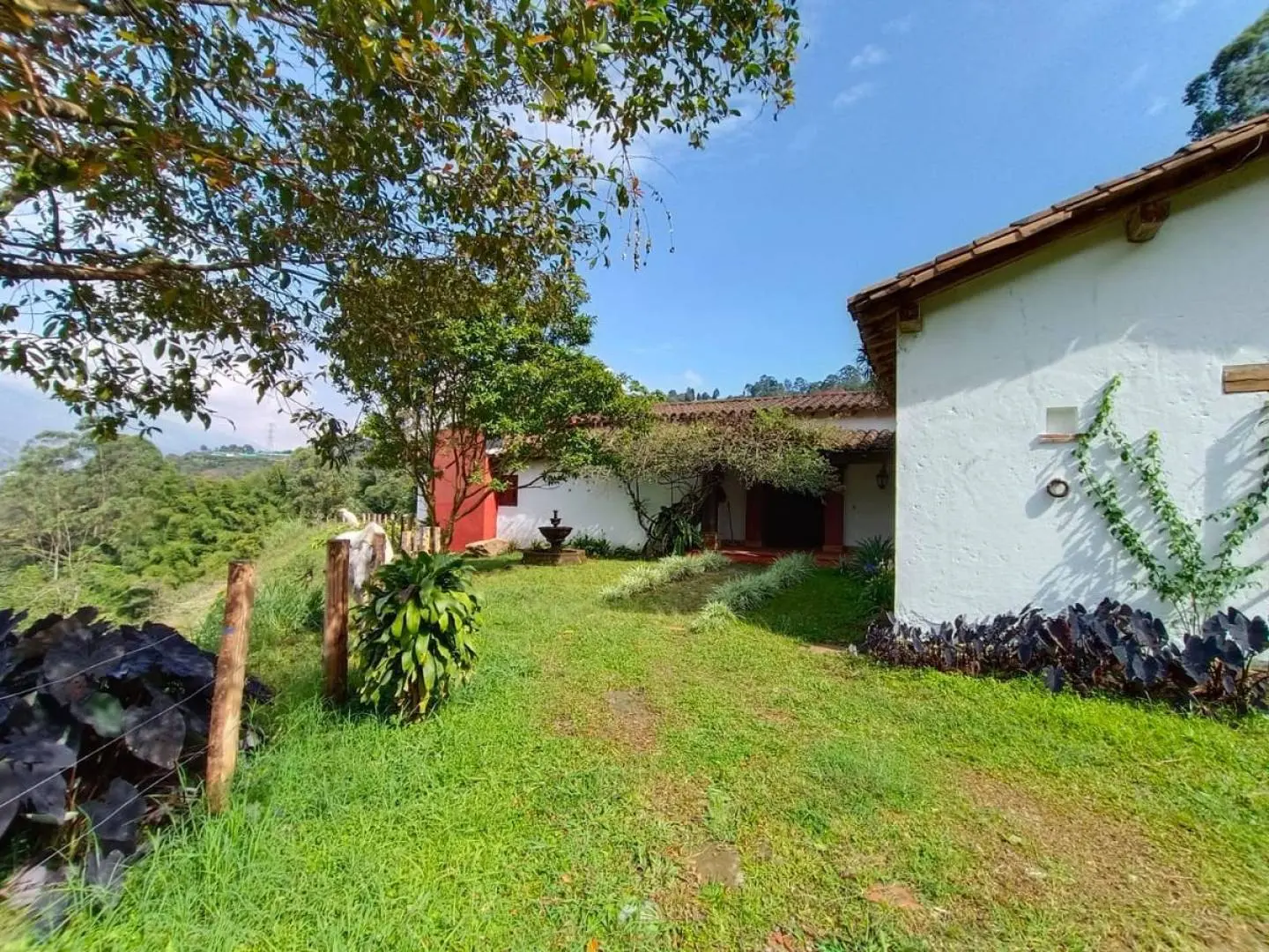Fotografía 6 - Finca