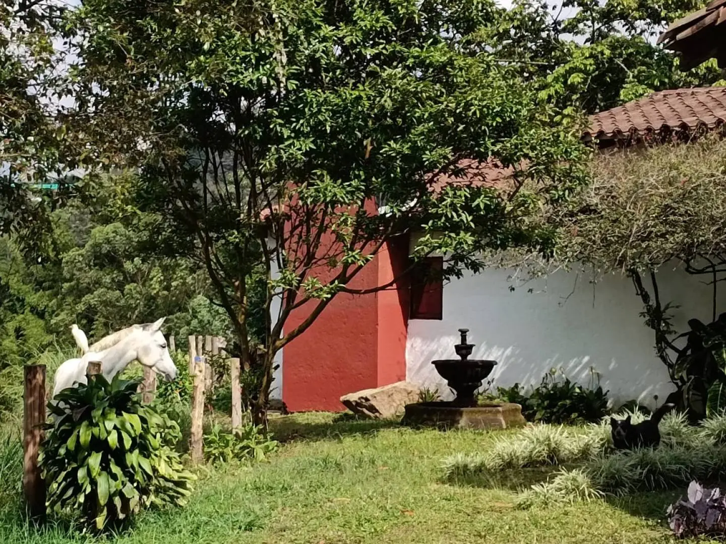 Fotografía 5 - Finca