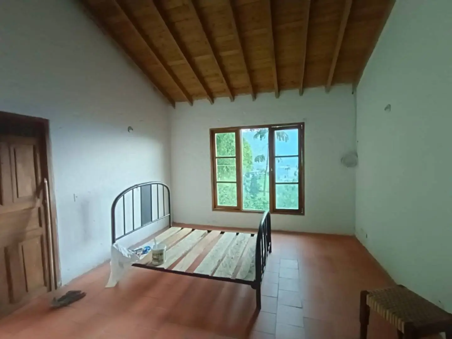 Fotografía 10 - Finca