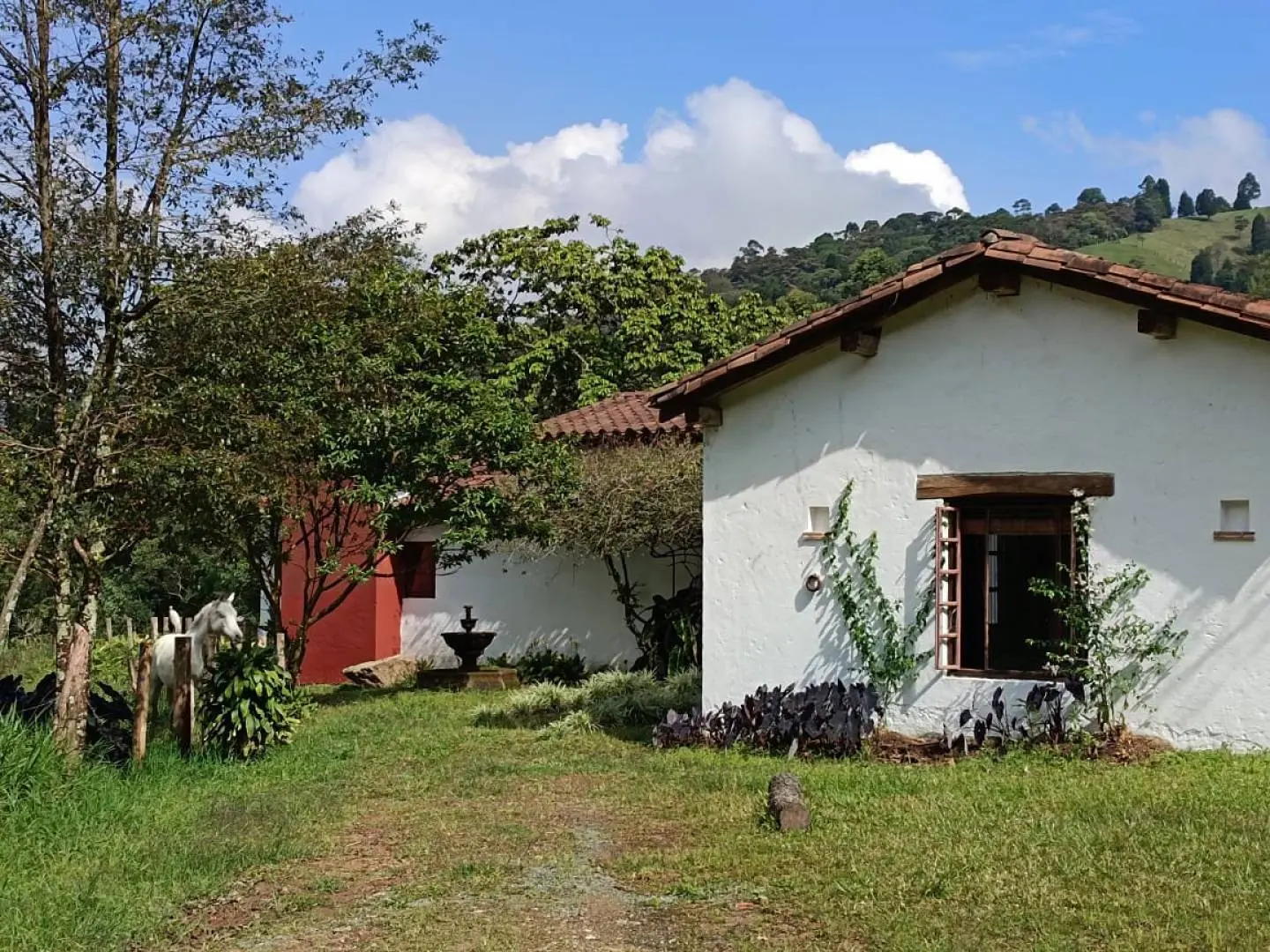 Fotografía 3 - Finca