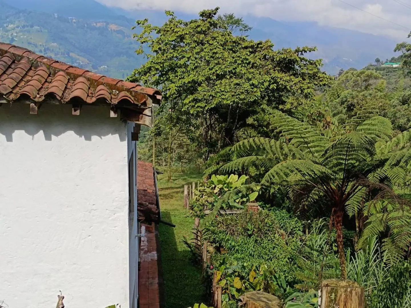 Fotografía 2 - Finca