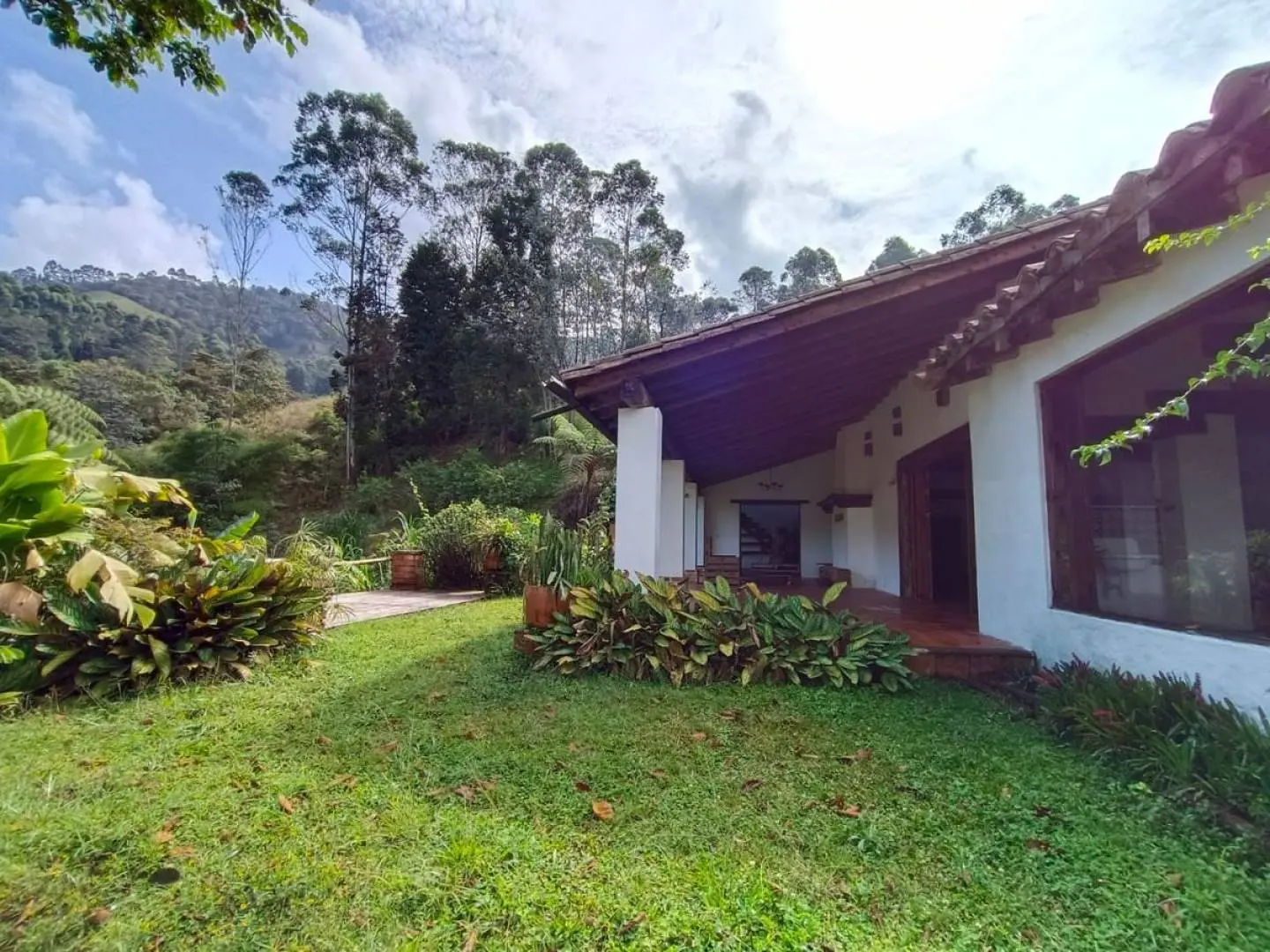Fotografía 24 - Finca