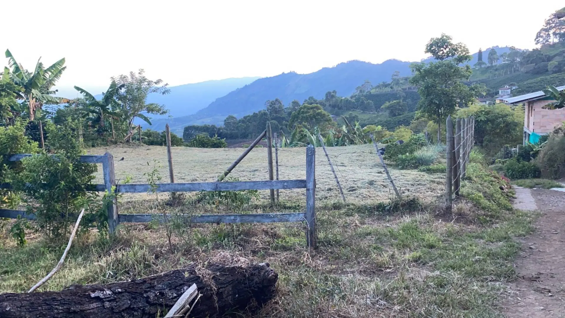 Fotografía 2 - Lote Uvital