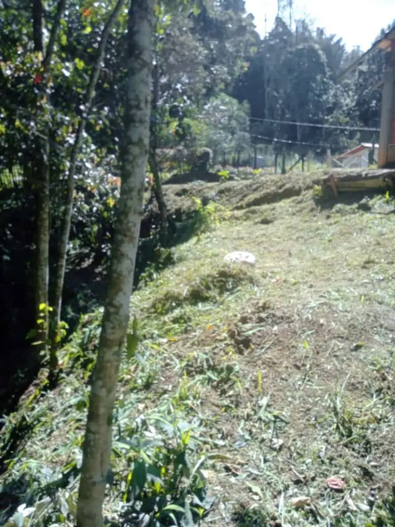 Fotografía 6 - Cabaña