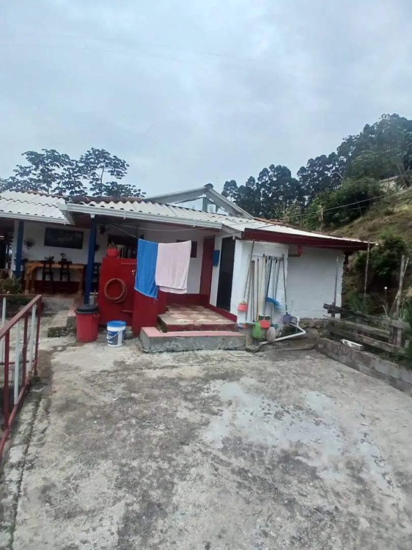 Fotografía 36 - Finca Aguacatala Parte Alta