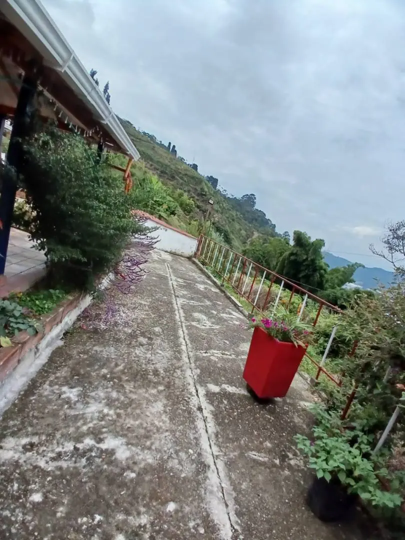 Fotografía 17 - Finca Aguacatala Parte Alta
