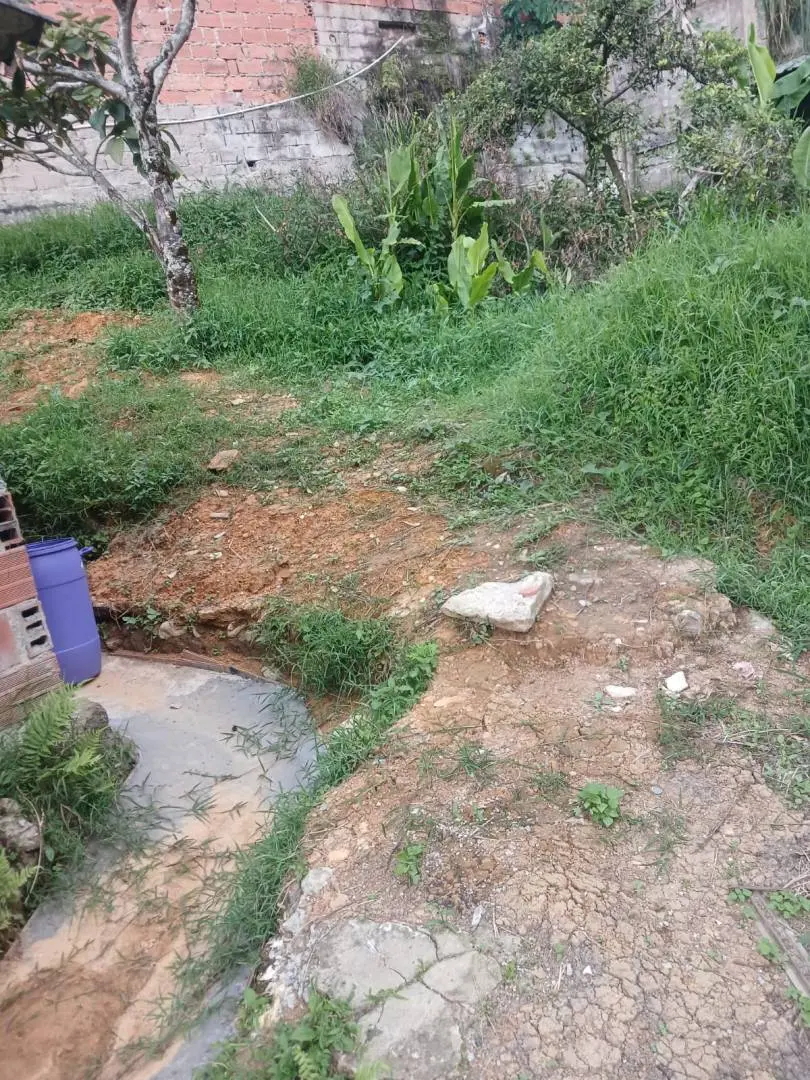 Fotografía 5 - Lote Con 2 Casas Y Bodega