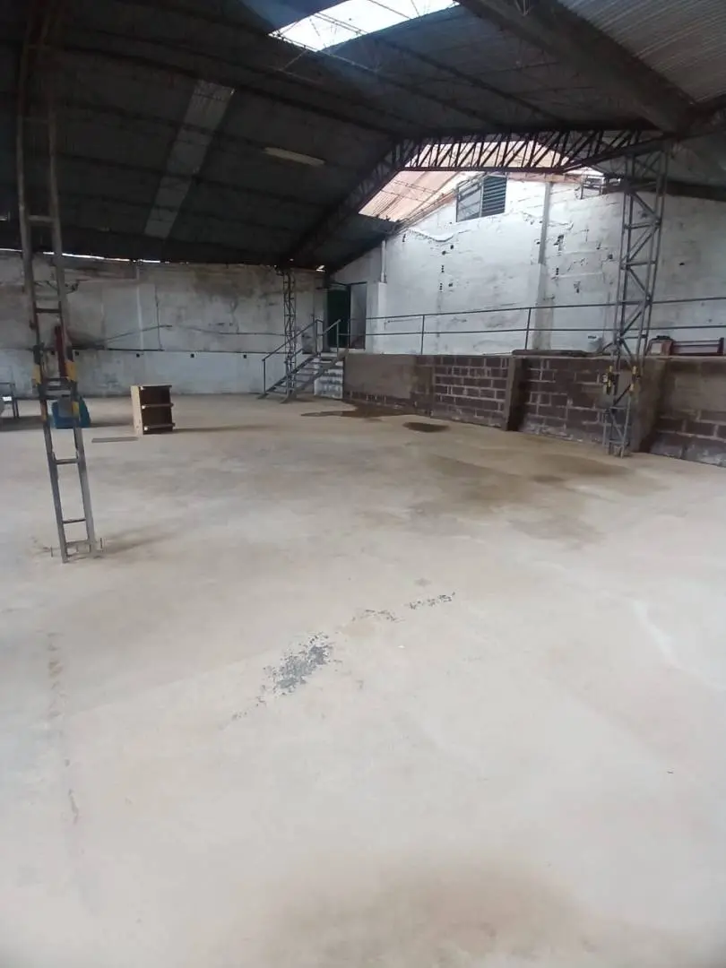 Fotografía 17 - Lote Con 2 Casas Y Bodega