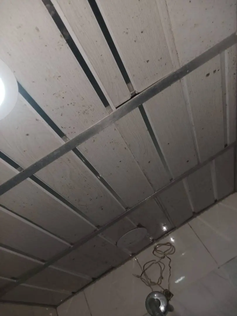 Fotografía 17 - Acuarela Primer Piso