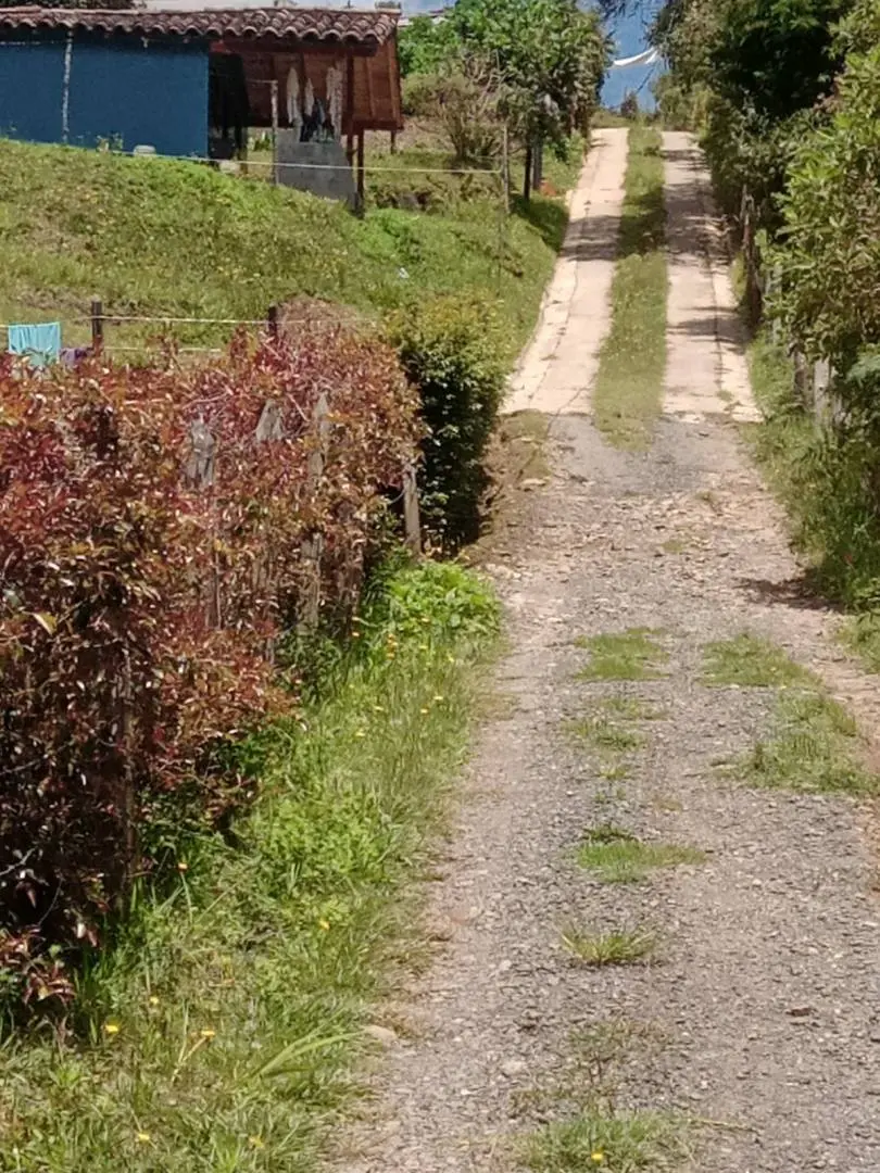 Cabaña