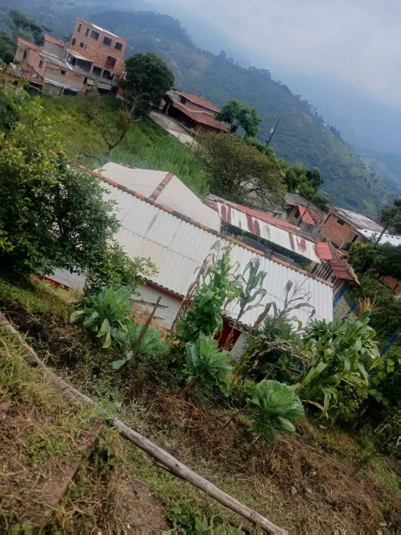 Finca Aguacatala Parte Alta