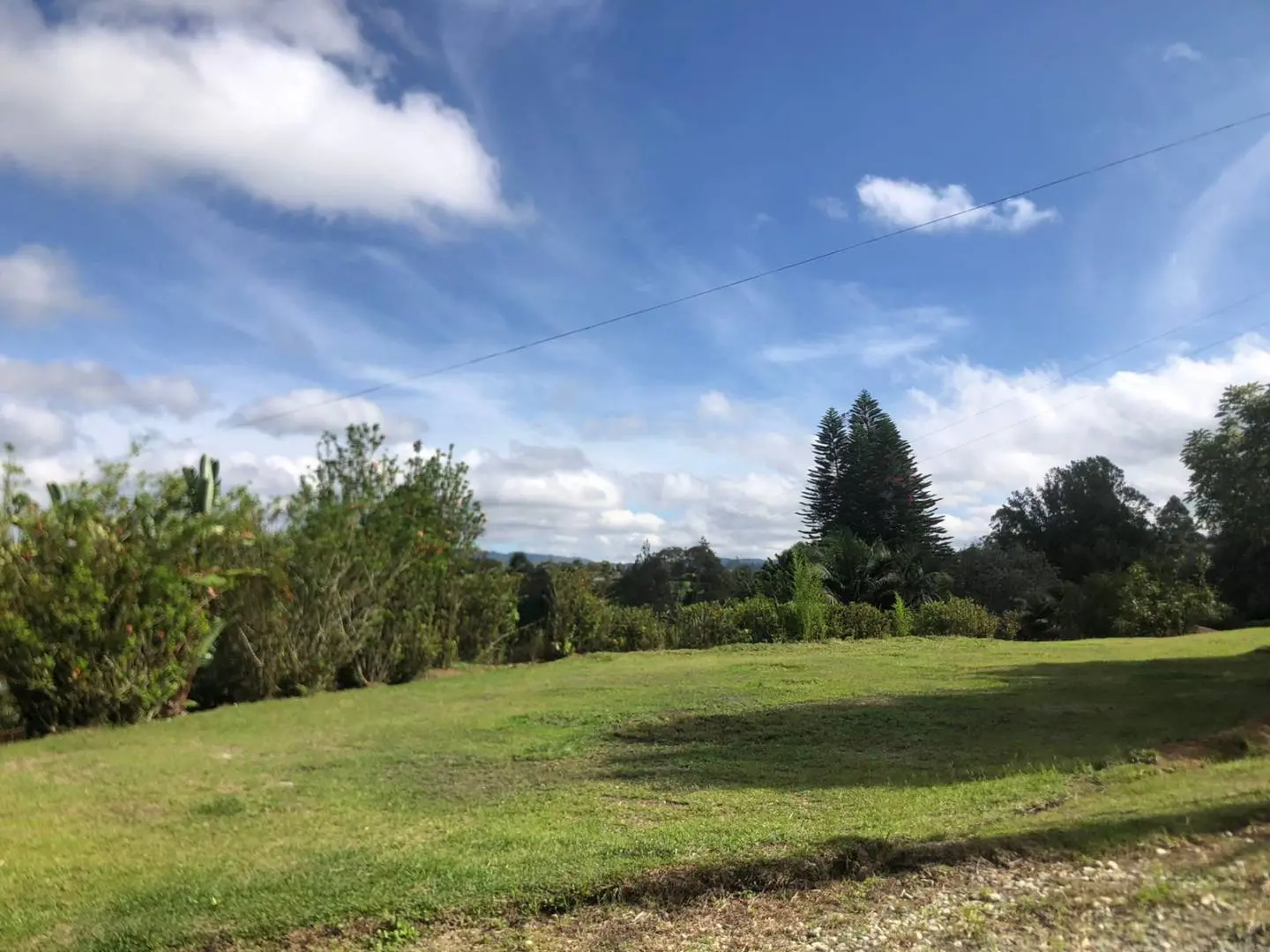 Finca