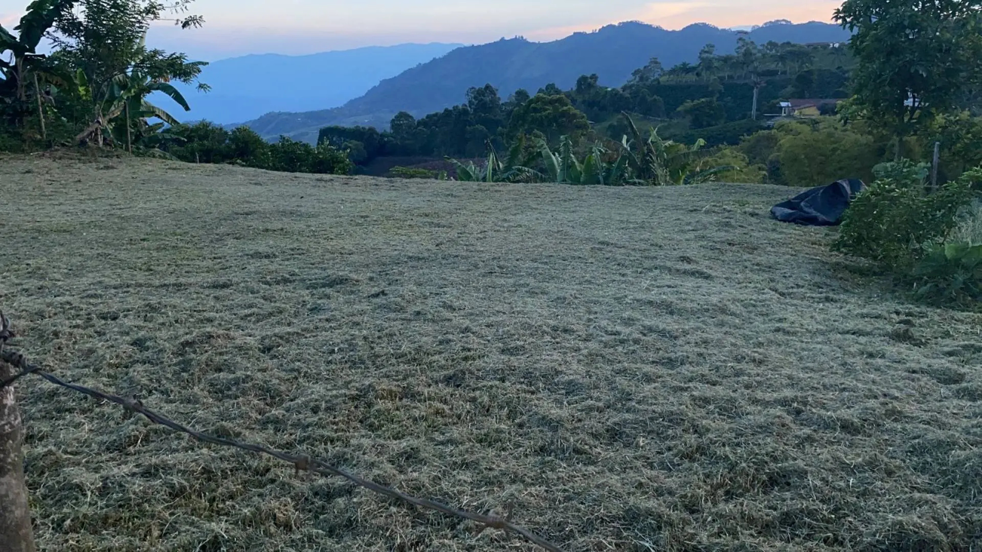 Fotografía 3 - Lote Uvital