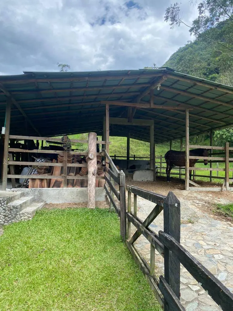 Fotografía 4 - Venta De Finca En Albania, Antioquia 