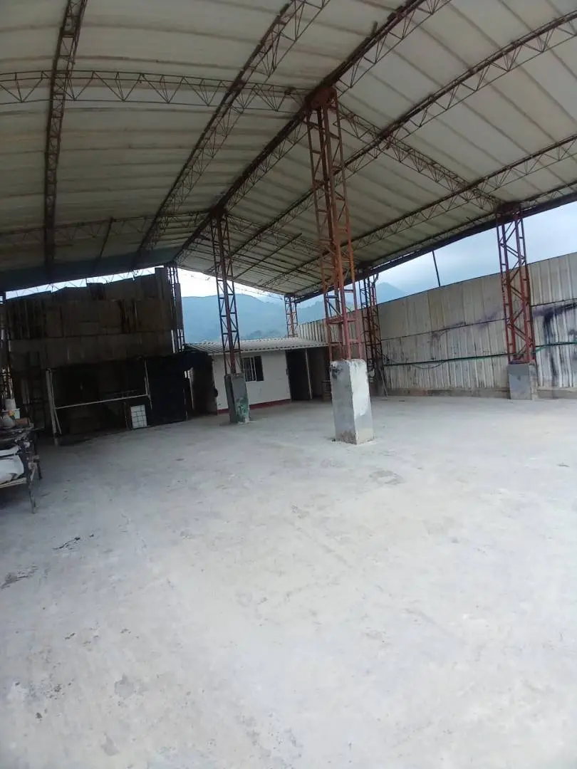 Fotografía 5 - Bodega En Primavera 