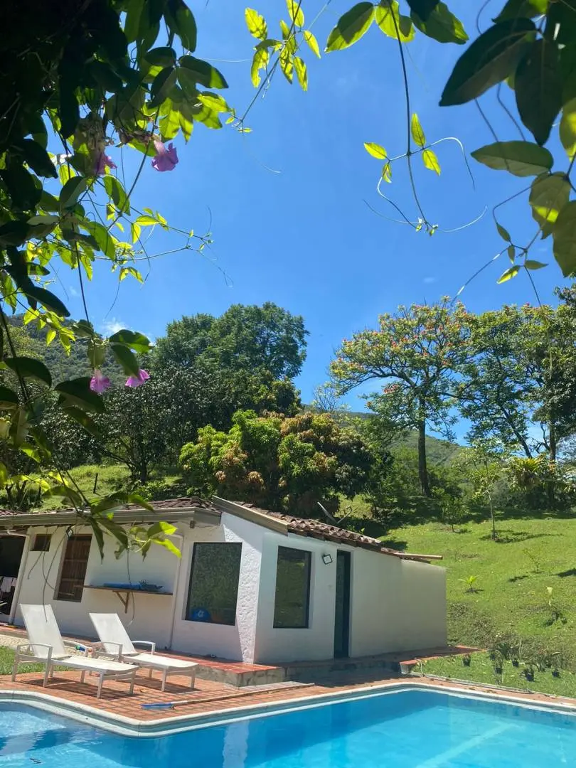 Fotografía 2 - Venta De Finca En Albania, Antioquia 