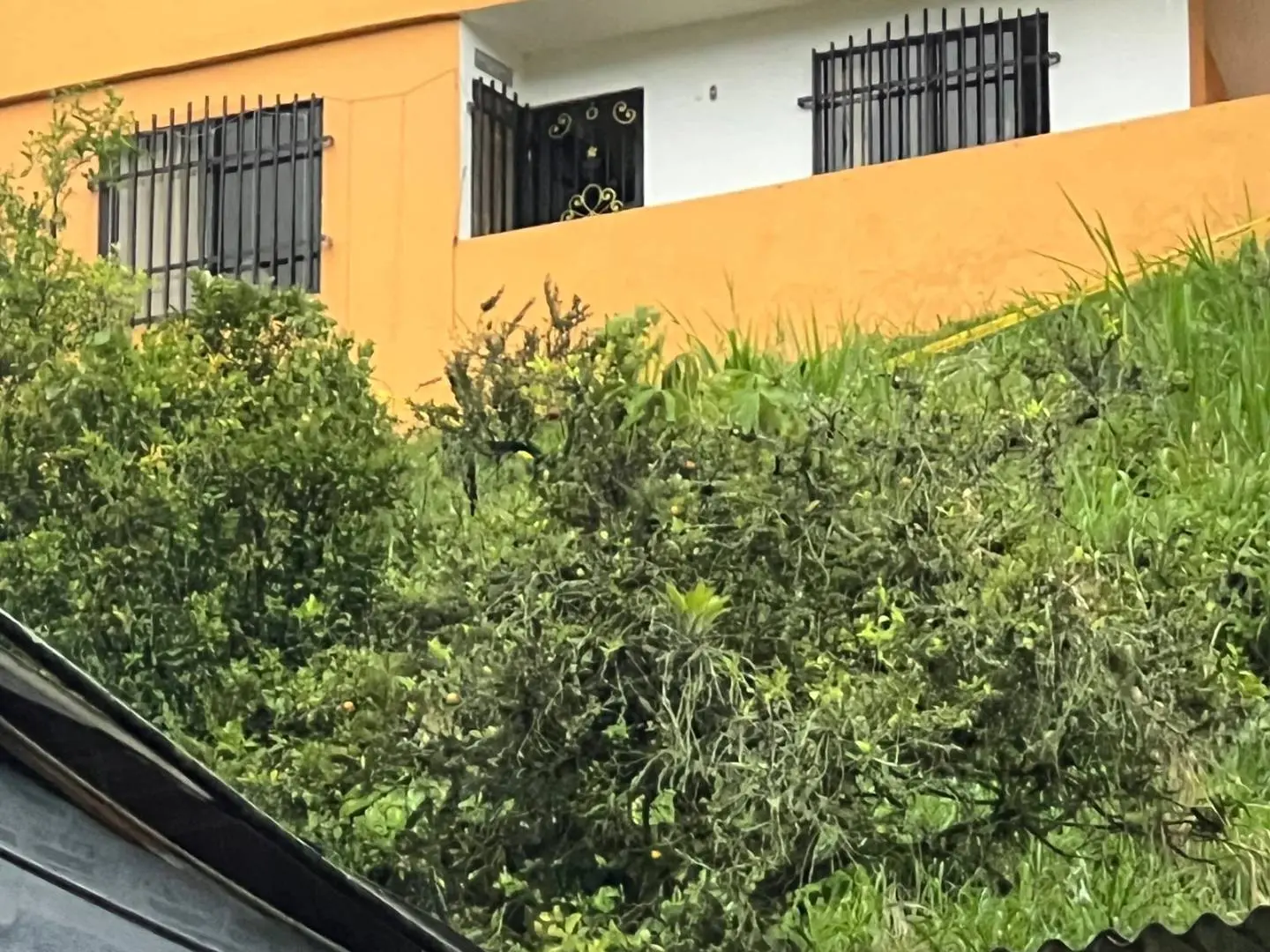 Fotografía 4 - Lote En Primavera Por La Cancha