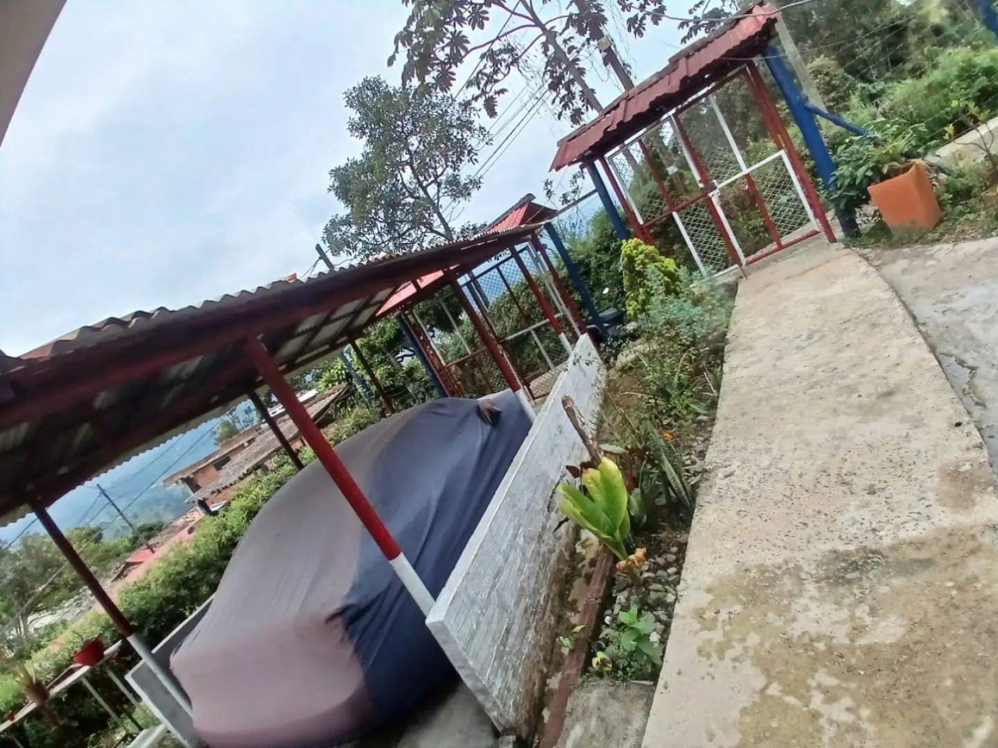 Fotografía 2 - Finca Aguacatala Parte Alta