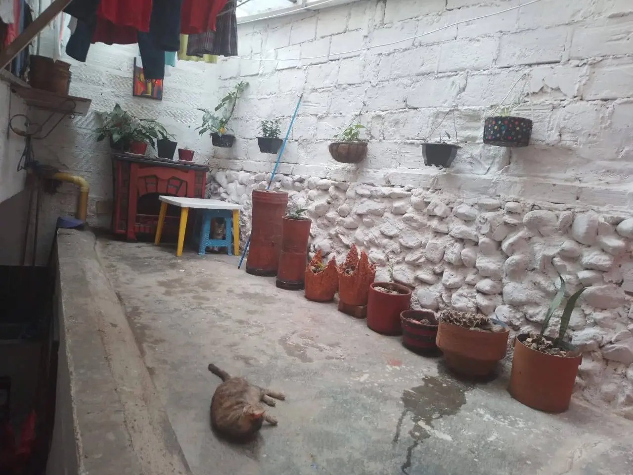 La Raya Primer Piso