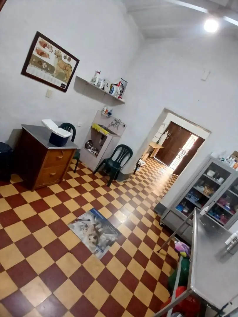 Fotografía 4 - Local
