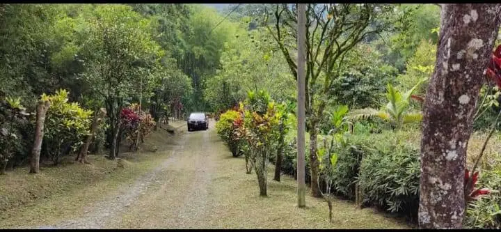 Fotografía 5 - Finca Hotel En Venta, Amaga