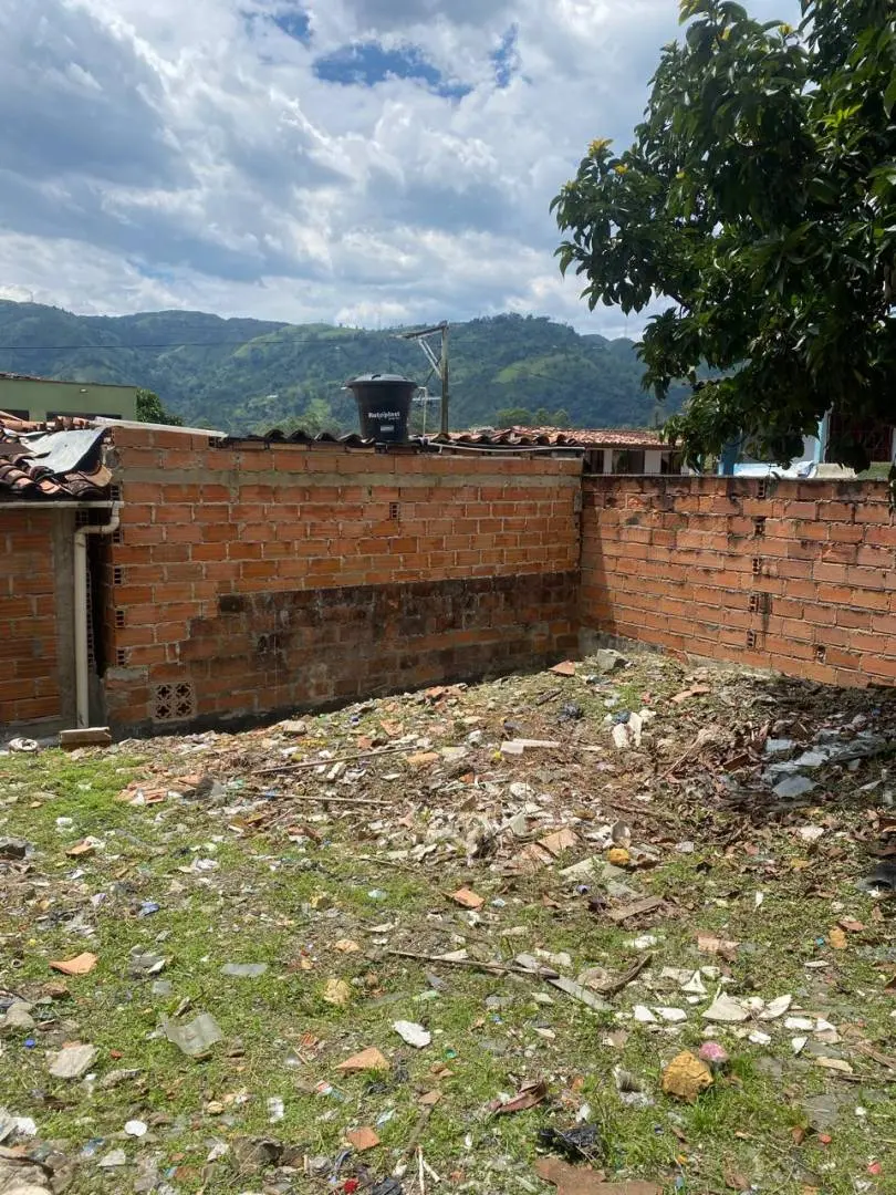Fotografía 3 - Local
