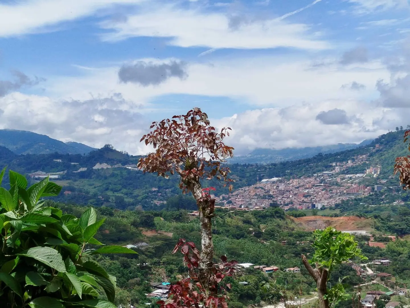Venta Hermosa Casa Capestre , Vereda Cedro Amagá, Antioquia