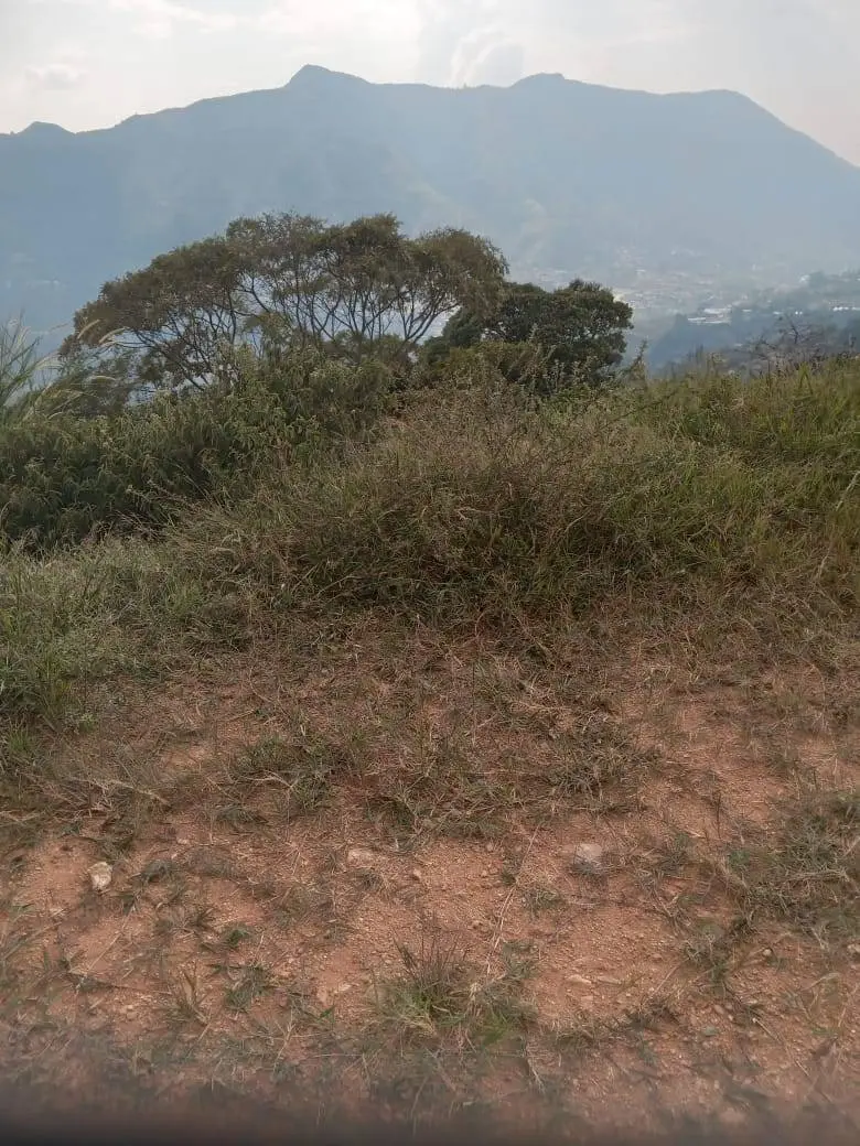 Fotografía 2 - Lote En Camilo C, Amaga Antioquia 