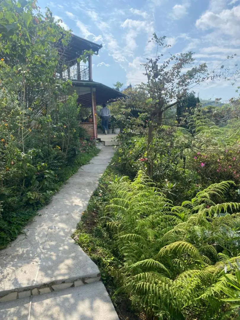 Fotografía 2 - Casa Finca 