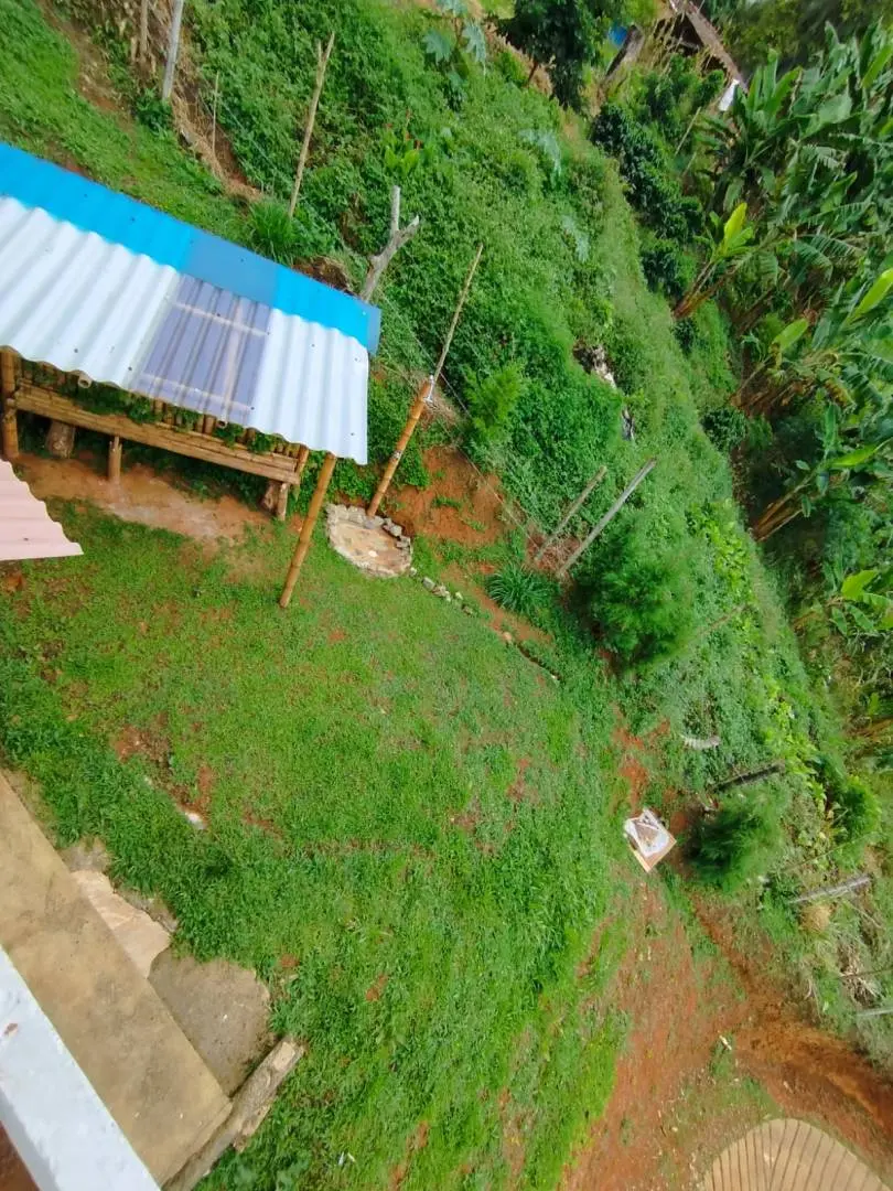 Fotografía 6 - Venta Hermosa Casa Capestre , Vereda Cedro Amagá, Antioquia 