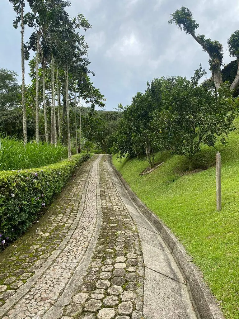 Fotografía 3 - Venta De Finca En Albania, Antioquia 