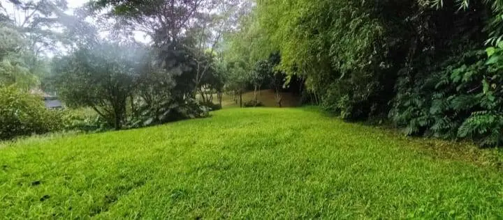 Fotografía 6 - Finca Hotel En Venta, Amaga