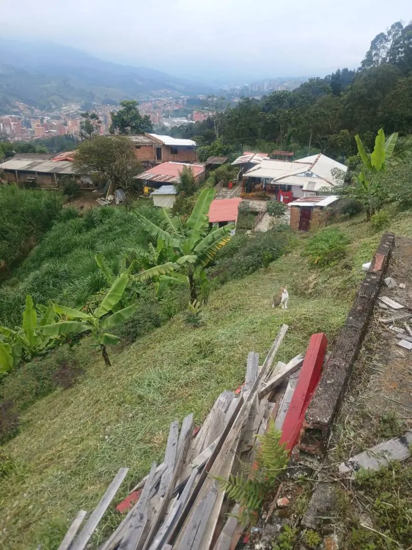Fotografía 3 - Finca Aguacatala Parte Alta