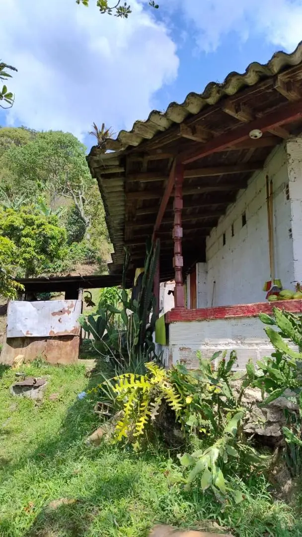 Fotografía 2 - Finca Vereda Salinas